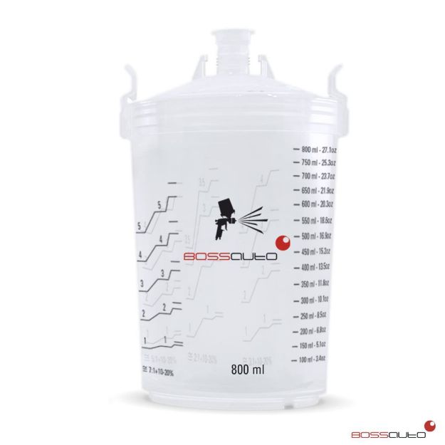 Picture of BPS Paint System Kit 800ml  190micron  