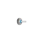 Picture of Pferd Mounted Wheel Brush  3006 INOX  02